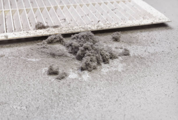 Best Professional Duct Cleaning Services  in Humboldt, IA