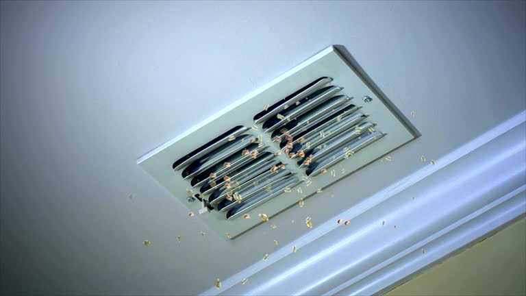Best Residential Air Duct Cleaning  in Humboldt, IA