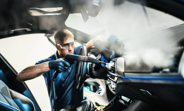 Best Air Duct Mold Removal  in Humboldt, IA
