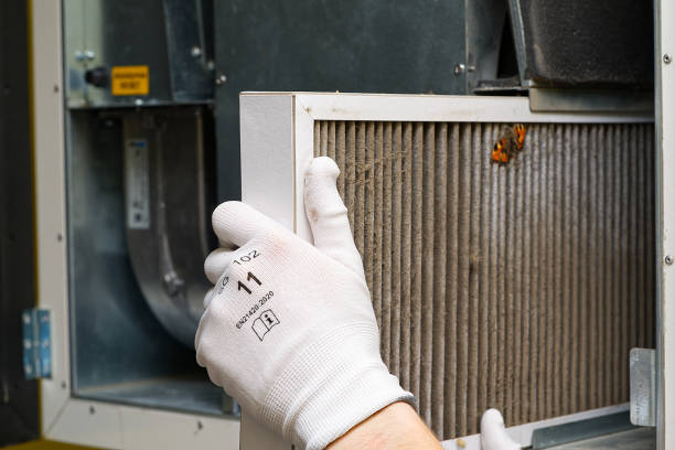Best HVAC Air Duct Cleaning  in Humboldt, IA