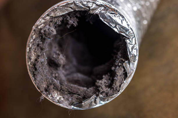 Best Air Duct Cleaning Near Me  in Humboldt, IA