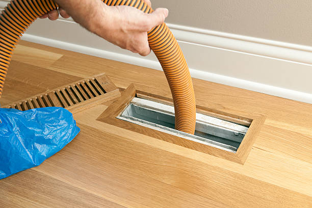 Best Home Air Vent Cleaning  in Humboldt, IA