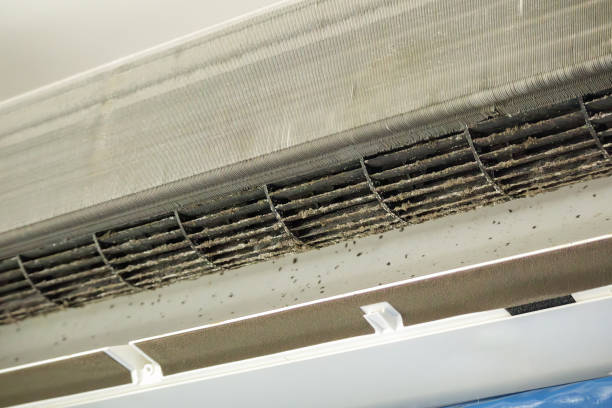 Best Emergency Air Duct Cleaning  in Humboldt, IA