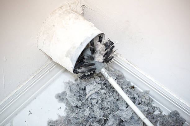 Best Commercial Air Duct Cleaning  in Humboldt, IA